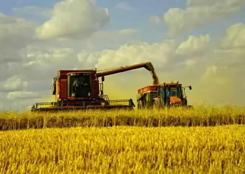 �r�I      AGRICULTURE